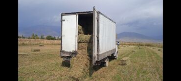 ГАЗ: ГАЗ 31105 Volga: 2007 г., 2.4 л, Механика, Бензиновая, Хэтчбэк — 6