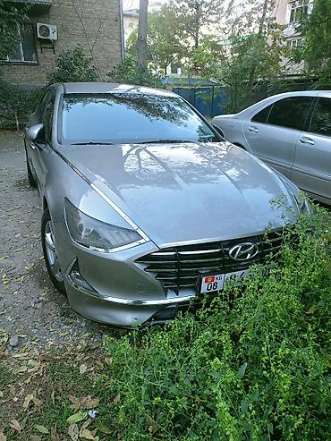 фильдер: Hyundai Sonata: 2020 г., 2 л, Автомат, Газ, Седан — 1