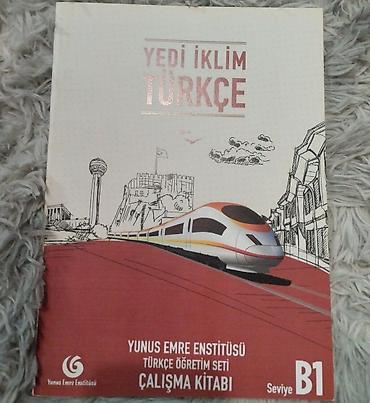 рыба балык: Учебный комплект по турецкому языку “Yedi İklim Türkçe”, уровень B1 — 1