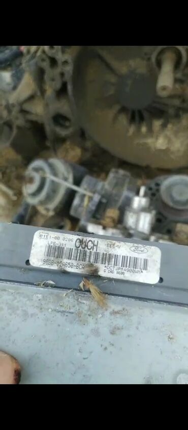 Digər avtomobil ehtiyat hissələri: Ford mondeo 1998 zapçast hissələri, mühərrik komponentləri, sürət -da lalafo.az — 5 Digər avtomobil ehtiyat hissələri: Ford mondeo 1998 zapçast hissələri, mühərrik komponentləri, sürət — 5