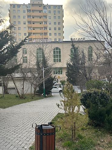 şeki: Köhnə Güneslide yerləşən Afrodita şadlıq sarayı ilə üz üzə parkın düz — 1
