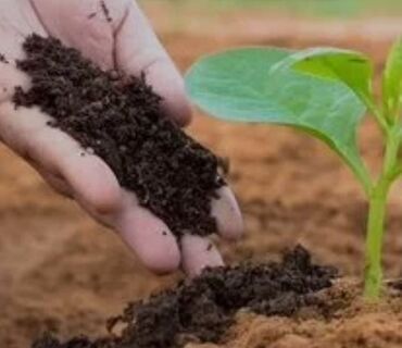 комур баасы бишкек 2021: Удобрение Гумус