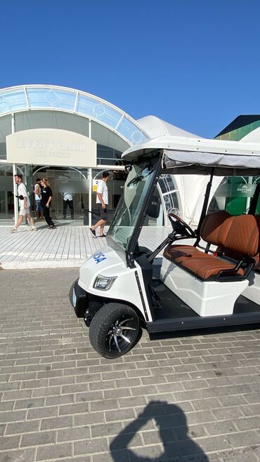 Mopedlər,skuterlər: Qolf Car,Bağı,Skuter və bütün növ Akkumulyator batareası ilə calışan — 6