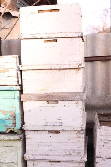 Товары и оборудование для с/х животных: Ульи около 45 комплектов. Рутовская система, корпусные, пригодны для — 16