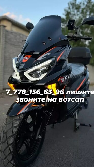 коры: Продаю | Музоо, торпок, Корова (самка), Бык (самец) | Ангус, Голштин, Алатауская | На забой, Для разведения, На откорм
