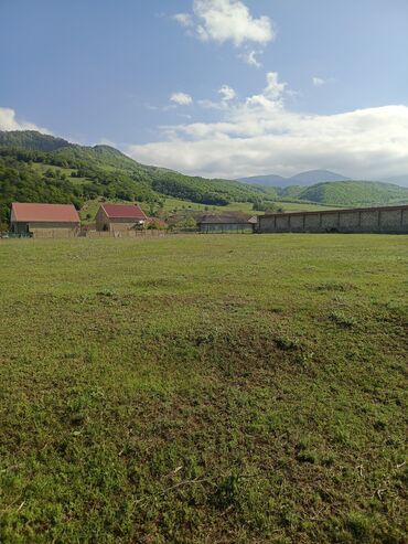 Torpaq sahələrinin satışı: 30 sot, Tikinti, Mülkiyyətçi, Kupça (Çıxarış) — 11