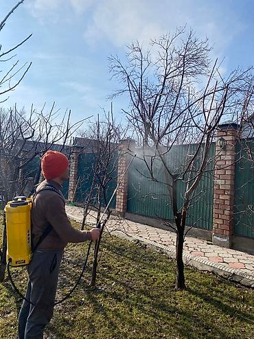 Спил деревьев, заготовка дров: Обрезка плодовых деревьев !!! Также обрезка хвойных и различных at lalafo.kg — 14 Спил деревьев, заготовка дров: Обрезка плодовых деревьев !!! Также обрезка хвойных и различных — 14