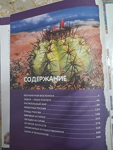 академии наук: Большая энциклопедия школьника — универсальная книга для — 2