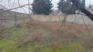 sabirabad torpaq: 3 sot, Tikinti, Makler, Kupça (Çıxarış)