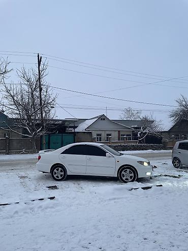 Toyota: Toyota Camry: 2004 г., 2.4 л, Автомат, Бензин, Седан — 18