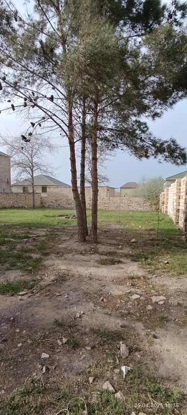 Torpaq sahələrinin satışı: 6 sot, Tikinti, Mülkiyyətçi, Kupça (Çıxarış) — 1