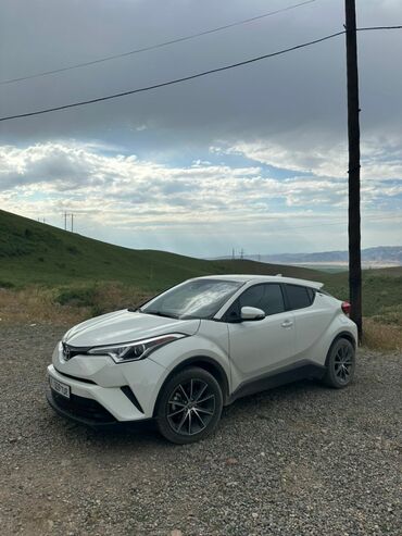 Toyota: Toyota C-HR: 2018 г., 2 л, Автомат, Бензин