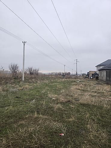 Продажа участков: 4 соток, Для строительства, Красная книга, Договор купли-продажи — 2