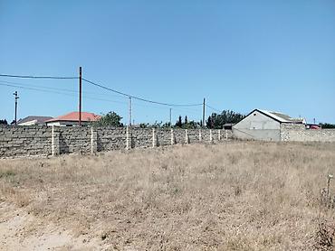 Torpaq: 19 sot, Tikinti, Mülkiyyətçi, Kupça (Çıxarış) — 2