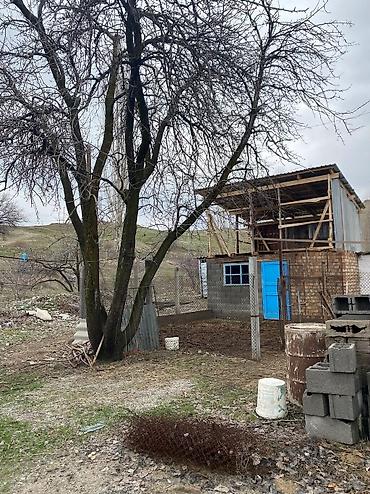 2 6: 25 м², 2 комнаты, 10 мкр, Без животных — 10