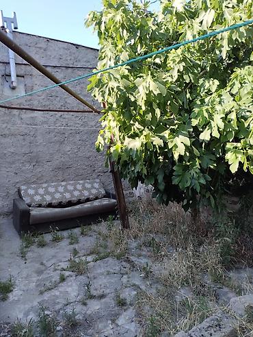 kohne baki: 3 otaqlı, 400 kv. m, Kredit yoxdur, Təmirsiz — 8