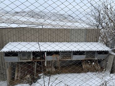 Продажа домов: Дача, 40 м², 3 комнаты, Собственник, Евроремонт — 24