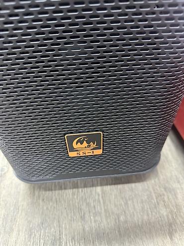 ace pro: Портативная акустическая система SS-1 с телескопической ручкой и — 1