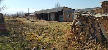 Продажа участков: 65 соток, Для бизнеса, Красная книга — 5