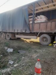 пасуда мойка кафе: Жүгөрү