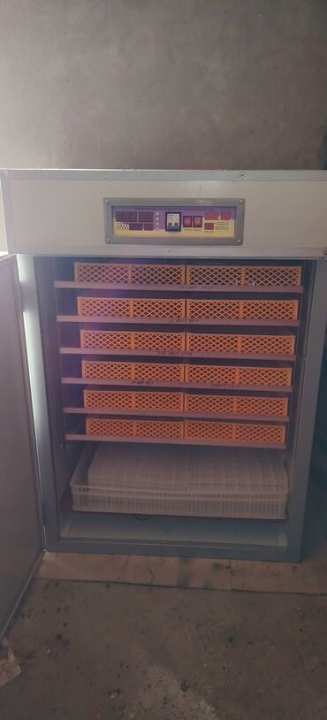 İnkubatorlar: 1100 yumurta, Çin, Tam avtomat — 5