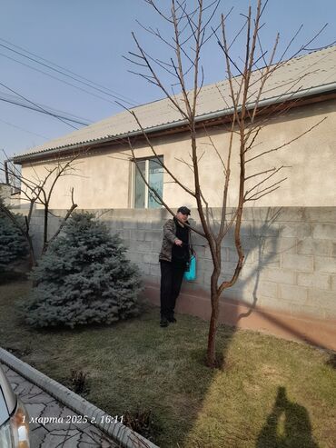 Спил деревьев, заготовка дров: Обрезка деревьев!!! Сезонная обрезка плодовых деревьев!!! Зима — 10