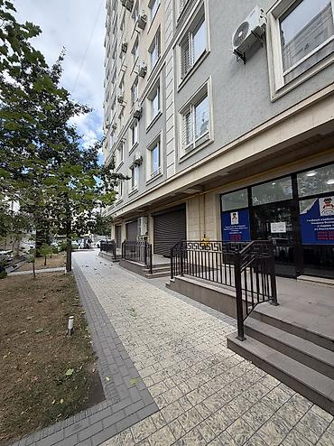 Кеңселерди ижаралоо, 110 м², Турак комплексинде, 1-катар, Өзүнчө ашканасы менен, Өзүнчө кире бериши менен lalafo.kg да Кеңселерди ижаралоо, 110 м², Турак комплексинде, 1-катар, Өзүнчө ашканасы менен, Өзүнчө кире бериши менен