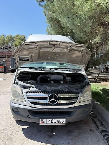 спринтер 2009: Mercedes-Benz Спринтер: 2009 г., Дизель, Фургон — 1
