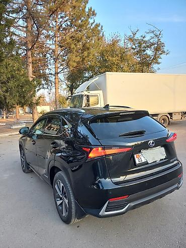 хайландер 2019 гибрид: Lexus NX: 2019 г., 2 л, Автомат, Гибрид, Кроссовер — 4
