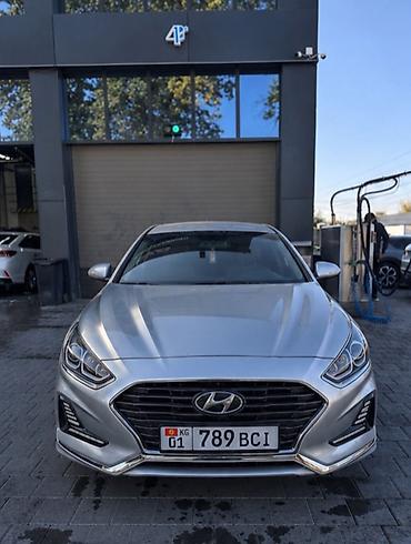 byd dolphin 2023: Hyundai Sonata: 2019 г., 2 л, Автомат, Газ, Седан — 1