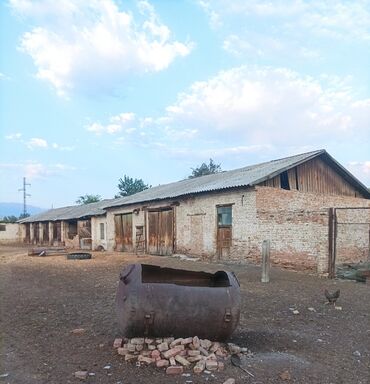 Продажа участков: 100 соток, Для сельского хозяйства, Красная книга, Тех паспорт, Договор купли-продажи — 3