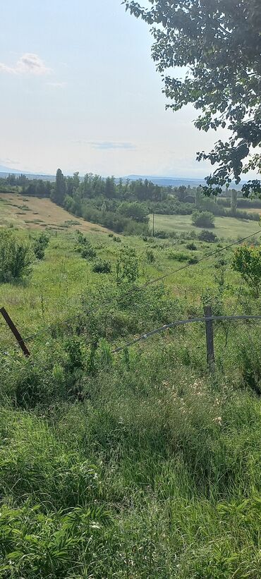 Anbar və emalatxanalar: Ünvan: Qusar şəhəri Ləyər kəndi (ləzgi ləyər) 1hk 68 sot bağ yeri — 10