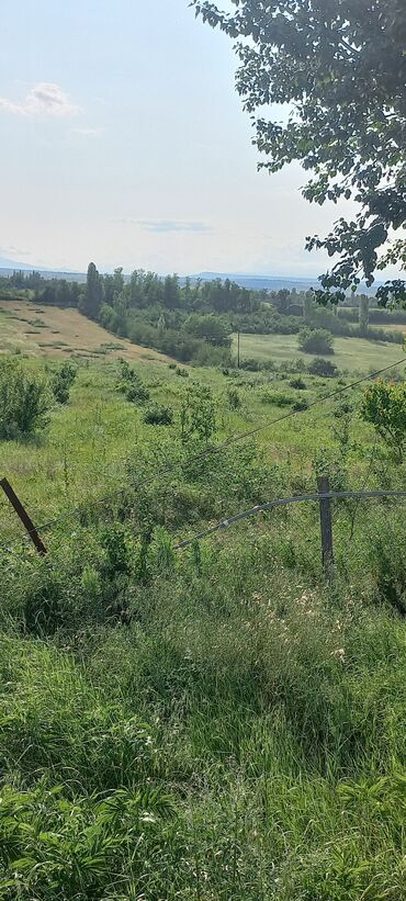 Torpaq sahələrinin satışı: Kənd təsərrüfatı — 26