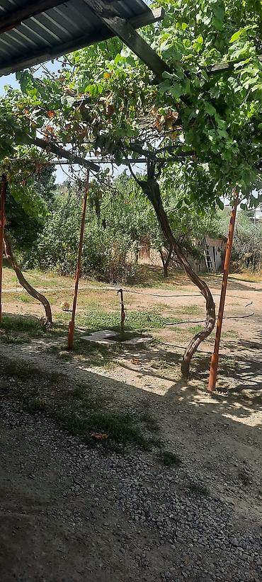 Продажа домов: Дом, 36 м², 2 комнаты, Собственник at lalafo.kg — 5 Продажа домов: Дом, 36 м², 2 комнаты, Собственник — 5