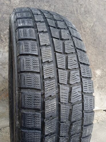 Шины: Шины 205 / 60 / R 16, Зима, Б/у, 1 шт, Легковые, Япония, Dunlop