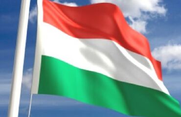 kursevi jezika: Casovi madjarskog jezika online Diplomirani hungarolog sa