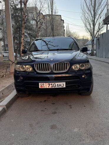 BMW: BMW X5: 2004 г., 4.4 л, Автомат, Бензин, Внедорожник — 14