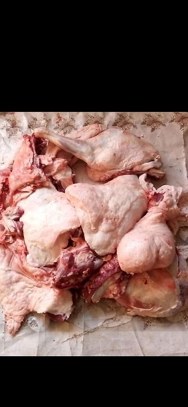 Кой эти козу эти сойулуп баш шыйрагын кошо куйкалап ичегисин жууп