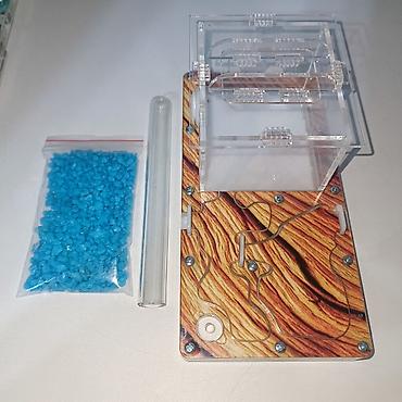 Другие животные: ‼️Колонии Муравьев с Формикариями разныные колоний большой выбор — 4