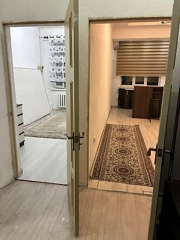 Батирлер: 1 бөлмө, Пишпек Менчик ээси, Жаныбарлар менен болот, 6 айдан баштап, Толугу менен эмереги бар — 3