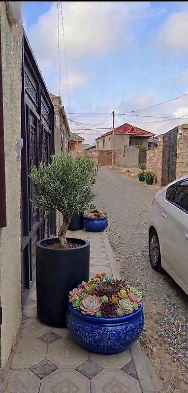 bartee: 2 otaqlı, 60 kv. m, Yeni təmirli — 7