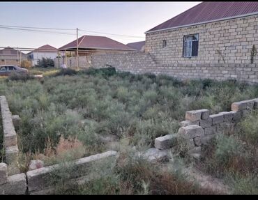 Kirayə torpaq sahələri: Tikinti, Kupça (Çıxarış)