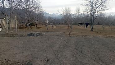 Продажа участков: 25 соток — 12