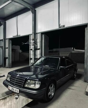 Mercedes-Benz: Mercedes-Benz 250: 1994 г., 2.5 л, Механика, Дизель, Седан