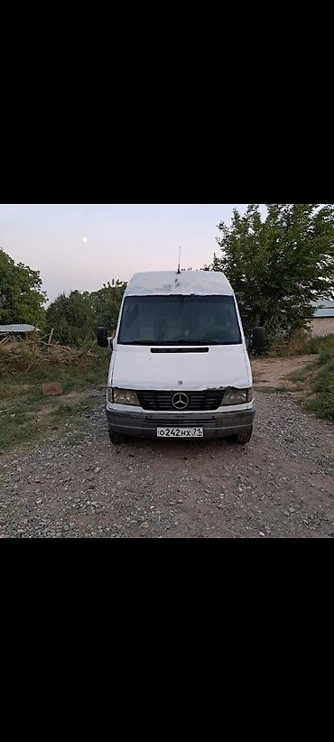 Mercedes-Benz: Mercedes-Benz Спринтер: 1999 г., 2.9 л, Механика, Дизель — 6
