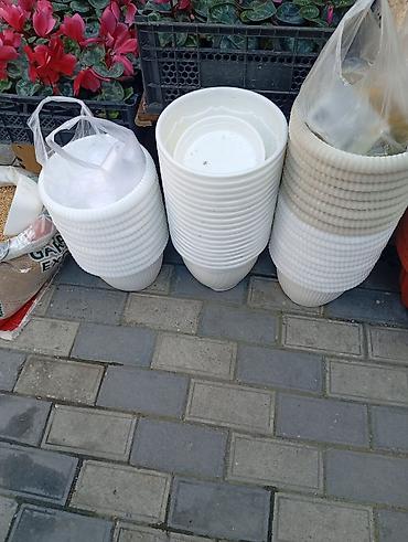Ağ plastik çiçək dibçəkləri – müxtəlif ölçülərdə - Material: yüngül
