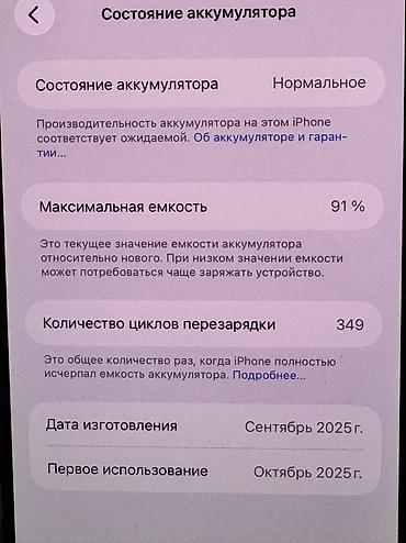 stick game: IPhone 17 Pro Max, Б/у, 256 ГБ, Синий, Защитное стекло, 91 % — 2
