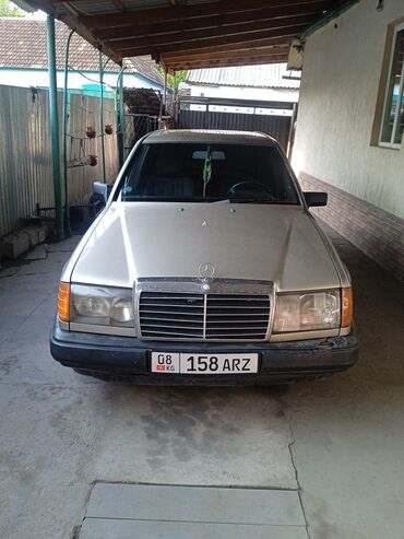 голы купе: Mercedes-Benz W124: 1992 г., 2.3 л, Автоматтык, Бензин, Седан
