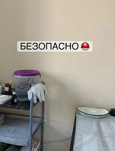 лечение варикоза: Врачи | Гирудотерапевт | Лечение пиявками — 6
