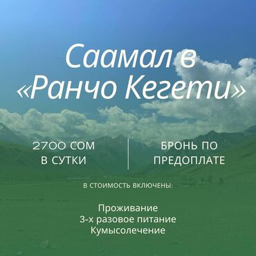 услуги видео: Кобылье молоко в Кегетинском ущелье, 75 км от г.Бишкек. С человека